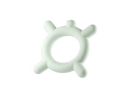 borrn hryzatko korytnacka zelena