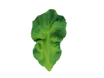 HRYZÁTKO ŠALÁT KENDALL