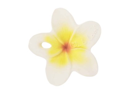 MINI HRYZÁTKO HAWAII THE FLOWER