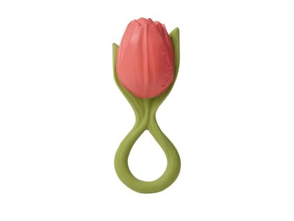 hryzatko tulipan theo the tulip