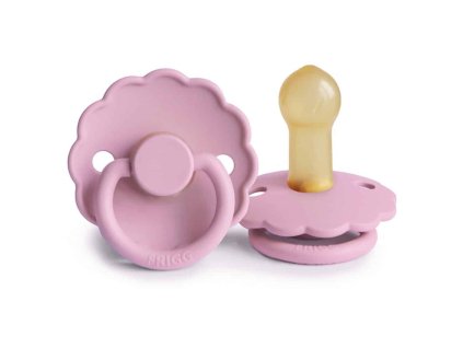 Lupine Daisy rubber 6 18 p