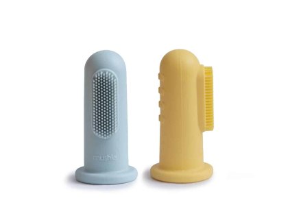 Toothbrush Powder Blue Daffodil 1 p