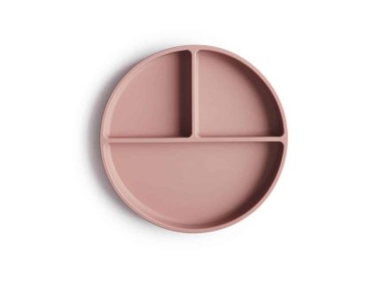 3 Silicone plate cloudy BLUSH2 p