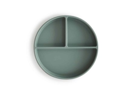 6 Silicone plate Cambridge blue p