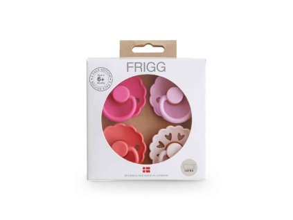 Rosy Romance Frigg Pacifier Set 4 Pack Rubber Size 2 p