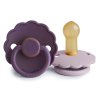 Violet Dream Soft Lilac Daisy twopack rubber 6 18 p