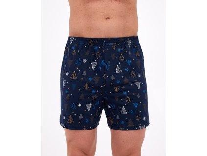 0013232 ctt box vanoce 016