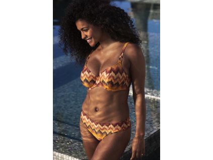 ARIZONA WAVE HORIZON UW PLUNGE BIKINI TOP AS206102 BIKINI BRIEF AS206170 HOZ 1 WEB