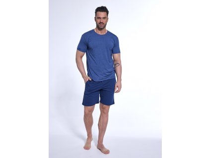 0011888 ctt pyzpan925