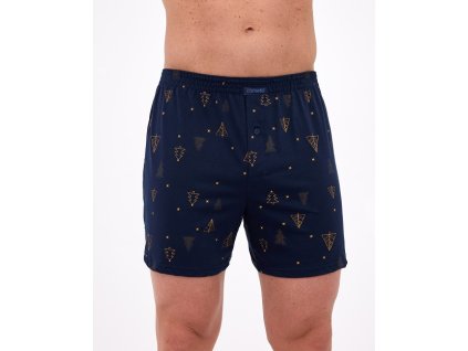 0013237 ctt box vanoce 016