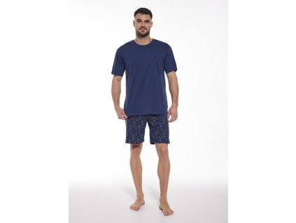 0009683 ctt pyzpan326