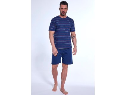 COR PPY PPK 0042 DARBLU 001