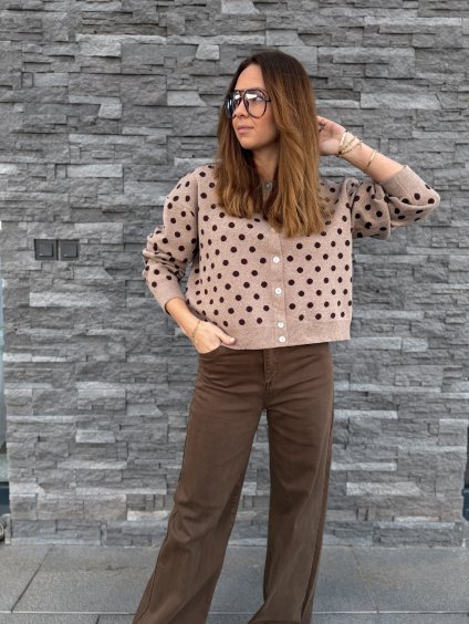 Propínací svetřík DOTS