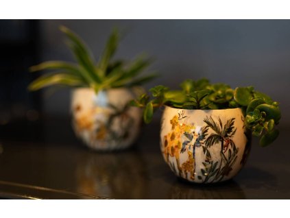 Safari Dream pot 26 e1757417232941