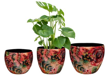 TS Lammie Rose rouge obal D15