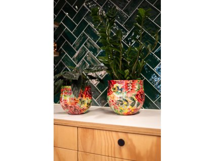 1 Lammie Rose Rouge 42