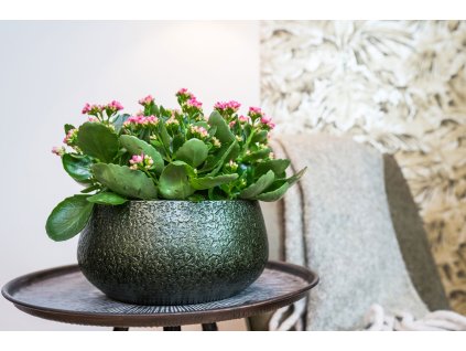 1 Noor velvet green 01 1