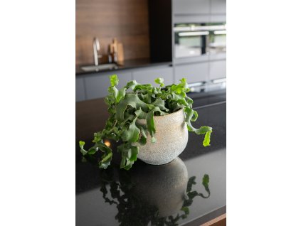 1 Noor metalic grey 12