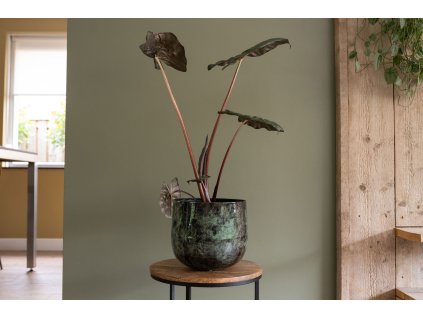 1 Emmie mystic green 06 1