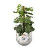 obal na kvetinac moonlight meadow kovovy bily 7cm 69675