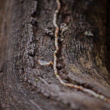 1eb24bd4 2beb 448f 8461 298a22adb5c4