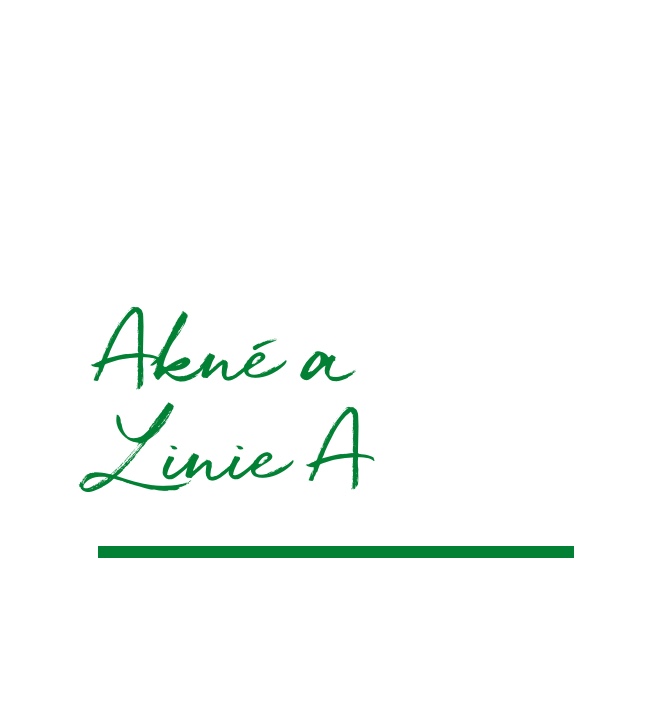 SEMINÁŘ VŠE O AKNÉ - LINIE A