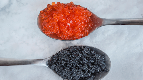 Je kaviár v kosmetice symbol luxusu?