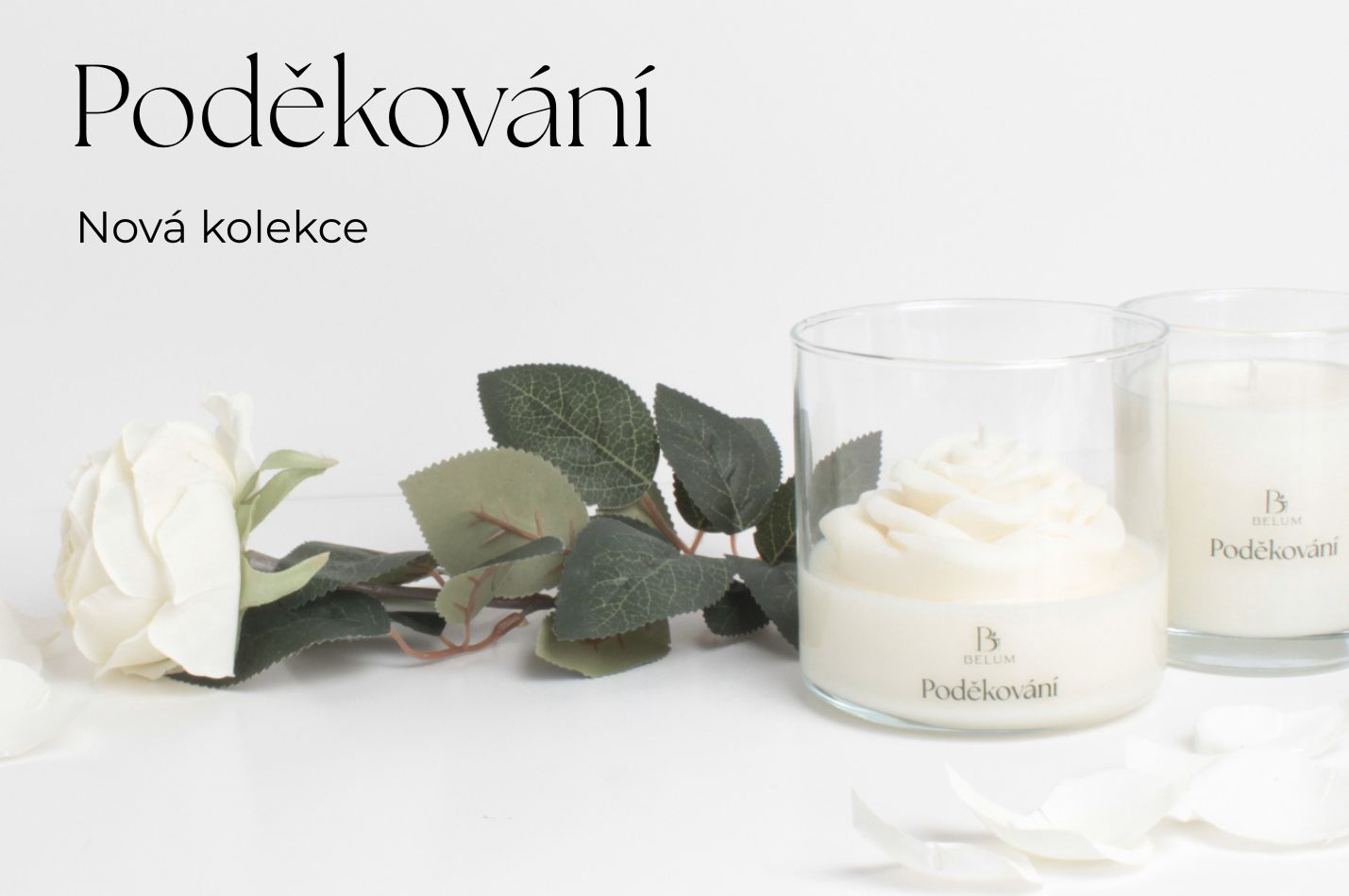 Nová kolekce Poděkování