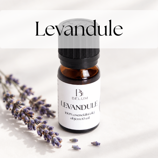 10-levandule