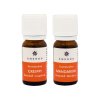 5259 esence do sauny grapefruit a mandarinka 2 x 10 ml