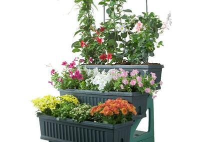 Nejlepší zelenina je ta, kterou si vypěstujete sami