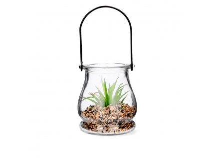 12232 umely sukulent ve sklenene lucerne 8 5 x 8 5 x 9 8 cm