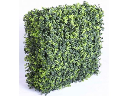 umela buxus stena zelene listky 75 x 25 x 100 cm