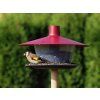 24475 1 krmitko pro ptaky finch barva vinova