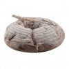 25072 2 osatka rattan kulata se stredem prumer 27 cm