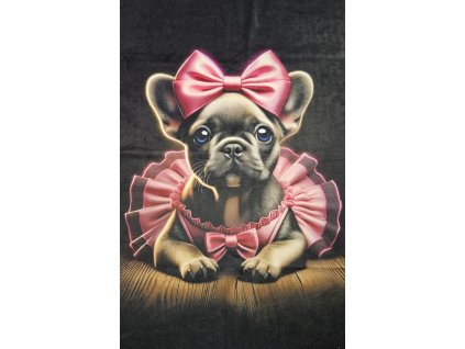 Polštářek štěňátko