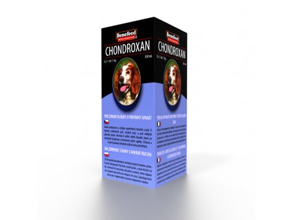 CHONDROXAN pies 500 ml