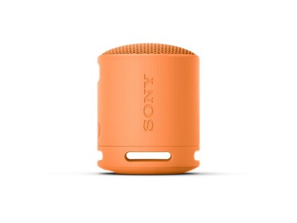 SRS-XB100D