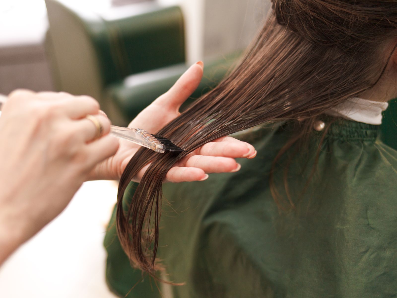 Organická rašelina