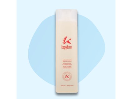 K cistici baze normalizacni