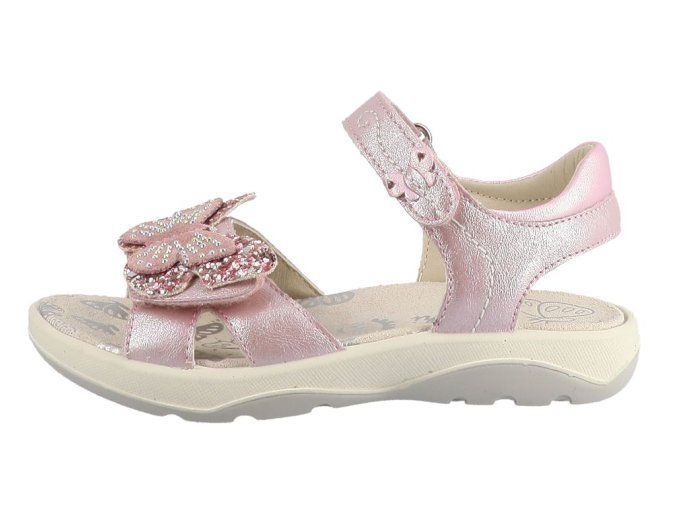 74L2003002rose image2