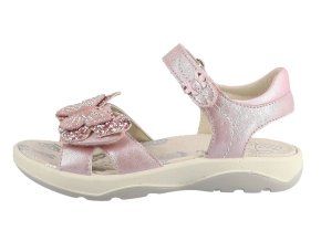 74L2003002rose image2