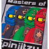 Chlapecké tričko LEGO NINJAGO SPINJITZU šedé