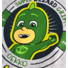 Chlapecké pyžamo PJ MASKS GEKKO šedé
