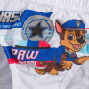 slipy paw patrol born brave 0