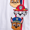 tricko paw patrol team 0