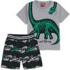 110953 chlapecka souprava dinosaurus kostra sedo zelena