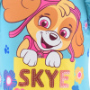ex1063 divci letni souprava paw patrol skye tyrkysova 1