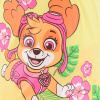 EX2041 YE divci pyzamo paw patrol skye zlkte 1