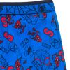 XH30056 PACK1 chlapecke boxerky spiderman baleni 2 ks 3